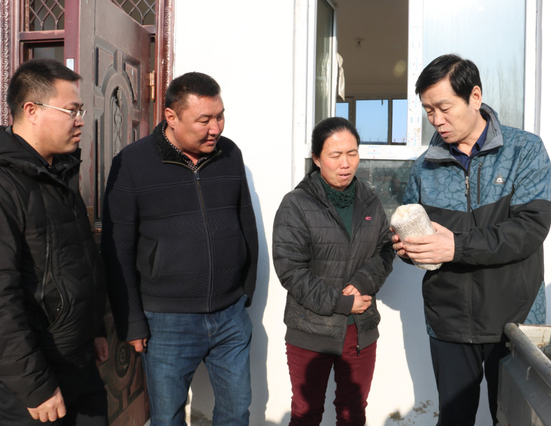 新疆：博乐市村民栽培平菇四个月净赚五万元