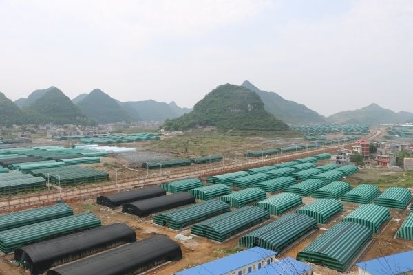 贵州：安龙县大力扶持食用菌产业发展