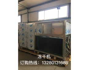 厂家出售真空冻干机，花菇多功能冻干设备银耳冷冻干燥机