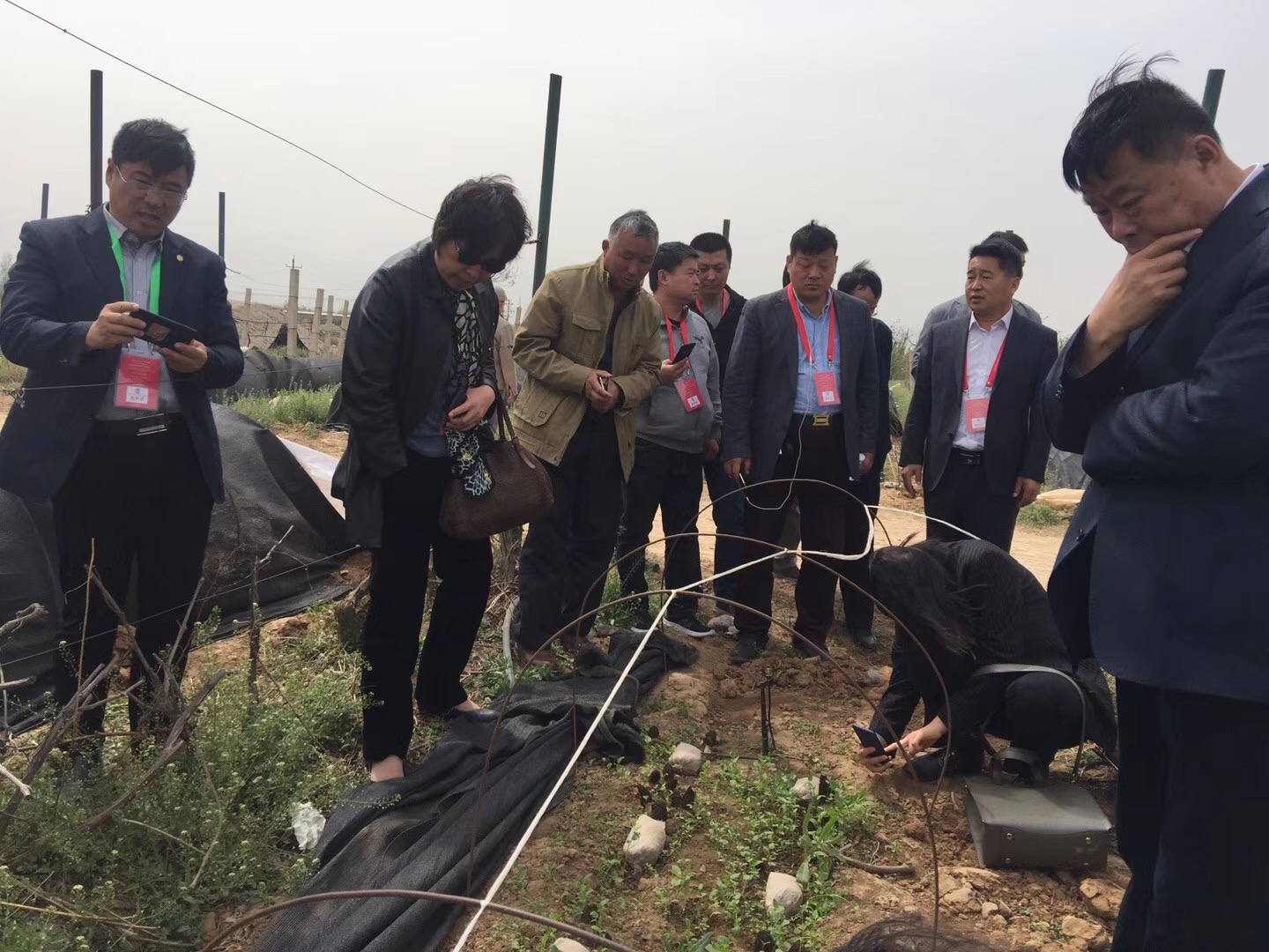 中國（三門峽）國際新產品新技術博覽會參會代表參觀當地羊肚菌基地