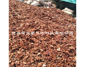 山东灵芝冠县灵芝二茬