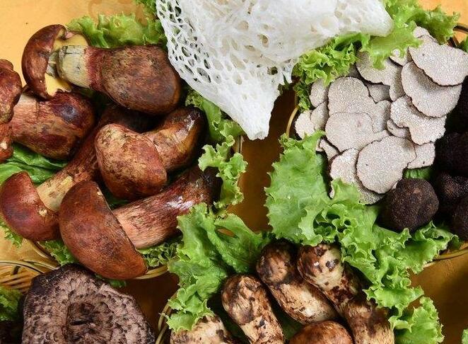 云南：互聯(lián)網(wǎng)平臺(tái)為野生菌土特產(chǎn)打開銷路