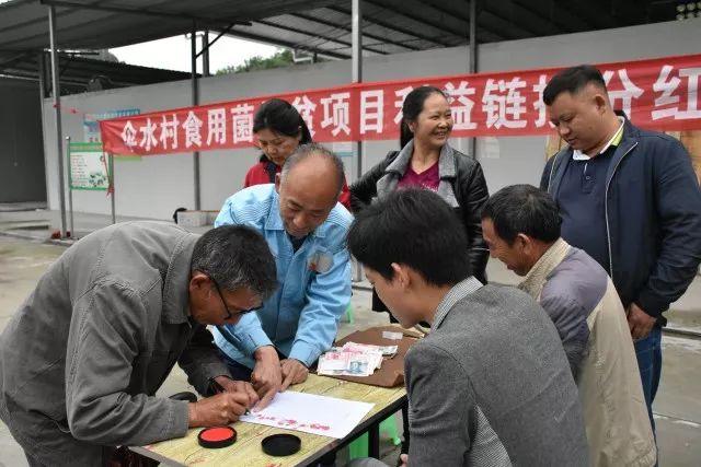 贵州：遵义市绥阳县食用菌扶贫项目举行利益链接分红仪式