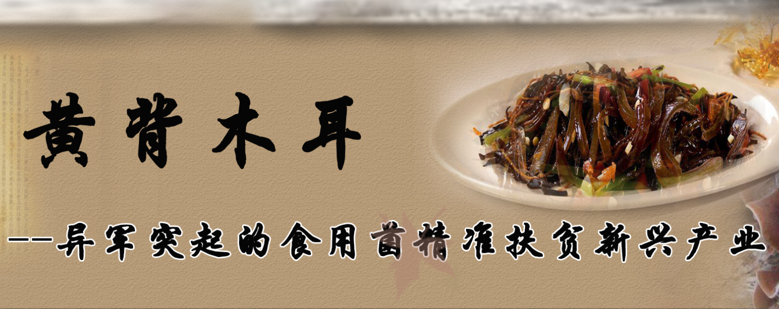 黄背木耳--异军突起的食用菌精准扶贫新型产业