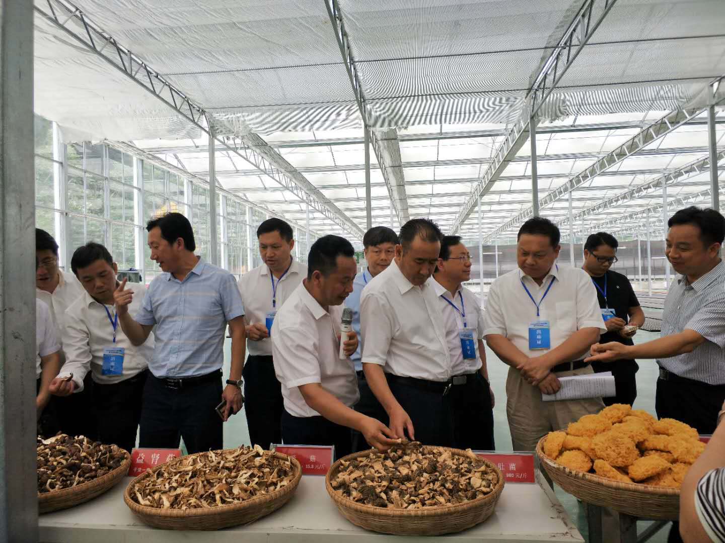 贵州：黔东南州领导赴剑河珍源干俄食用菌栽培基地调研考察