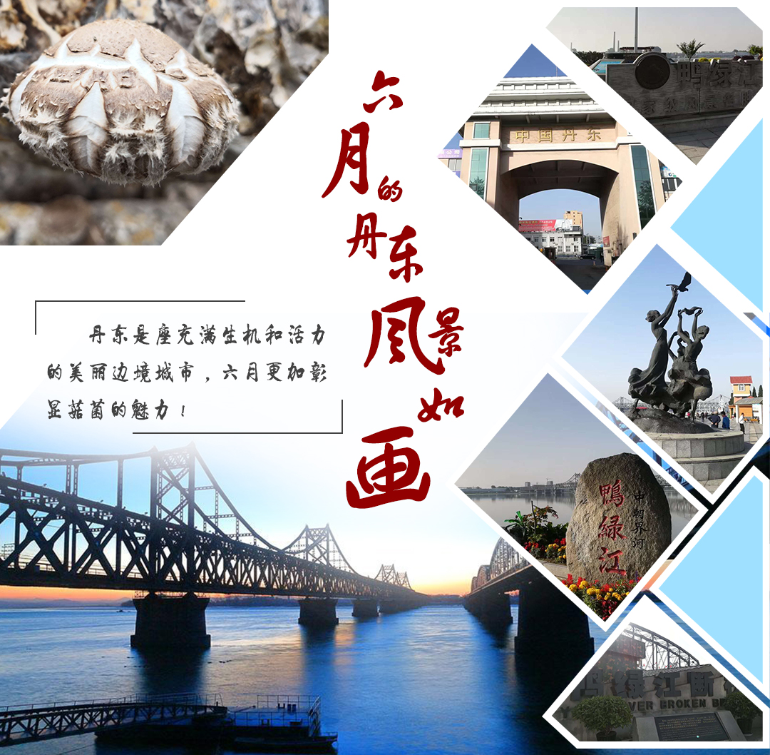 溫馨提示∣首屆全國香菇產(chǎn)業(yè)創(chuàng)新發(fā)展大會路線攻略和天氣指南