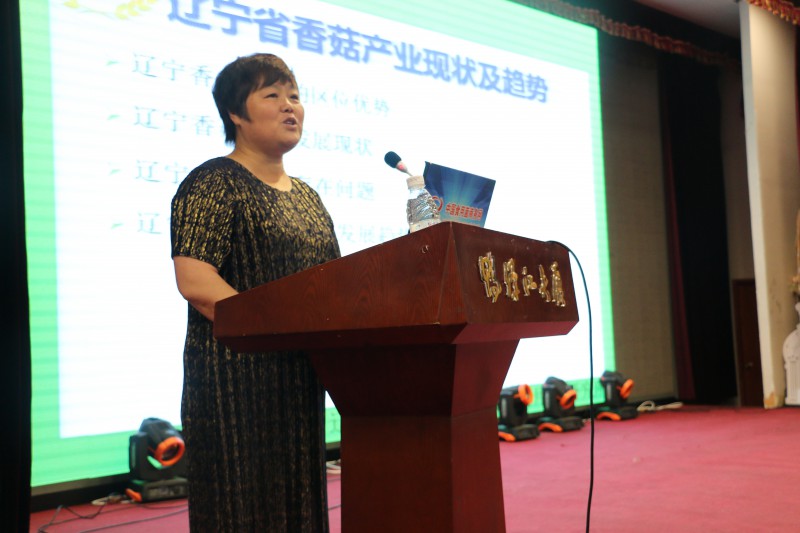 劉俊杰：遼寧省香菇產業現狀及趨勢