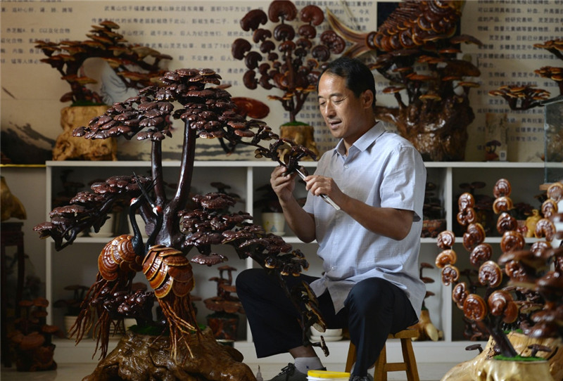河北：廣宗縣發展特色靈芝產業帶富眾鄉親