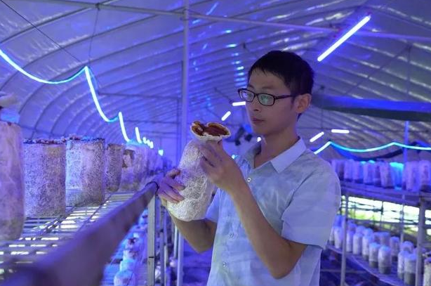 90后小伙子带你走进食用菌的财富世界！