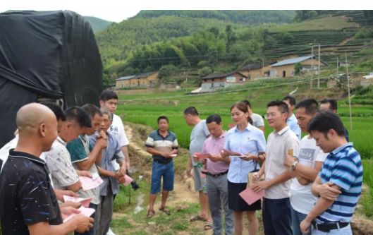 福建：龍巖市新羅區(qū)組織姬松茸產(chǎn)業(yè)種植現(xiàn)場觀摩會