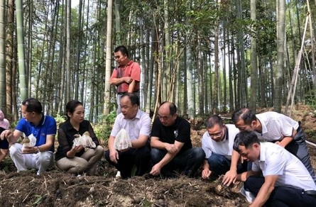 广西自治区农技推广总站组织专家到融水县开展食用菌产业调研