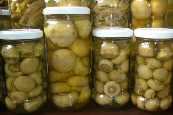 河南：蘑菇罐头畅销海外 带动食用菌出口额同比增长