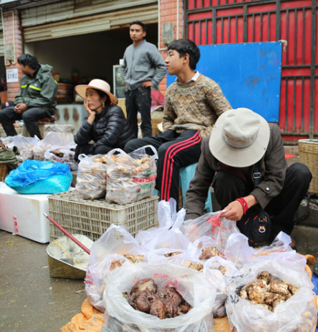 四川：甘孜道孚县野生菌吸引各地客商前来采购