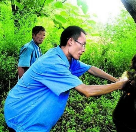 王继成：80后大学生村官，带领村民种食用菌致富