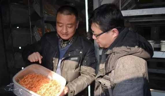王新軍：結緣食用菌，共圓致富夢