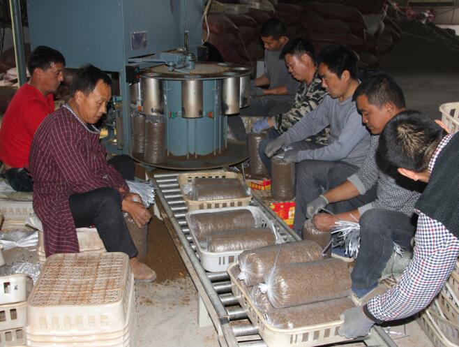 甘肅：民樂縣食用菌產業為貧困戶摘掉“窮帽子”