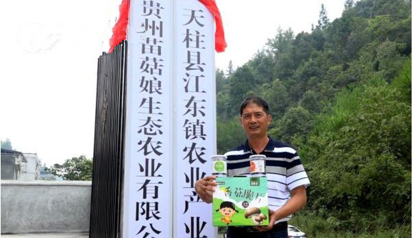 贵州：天柱县总投资3000万元江东食用菌农业示范园开工建设