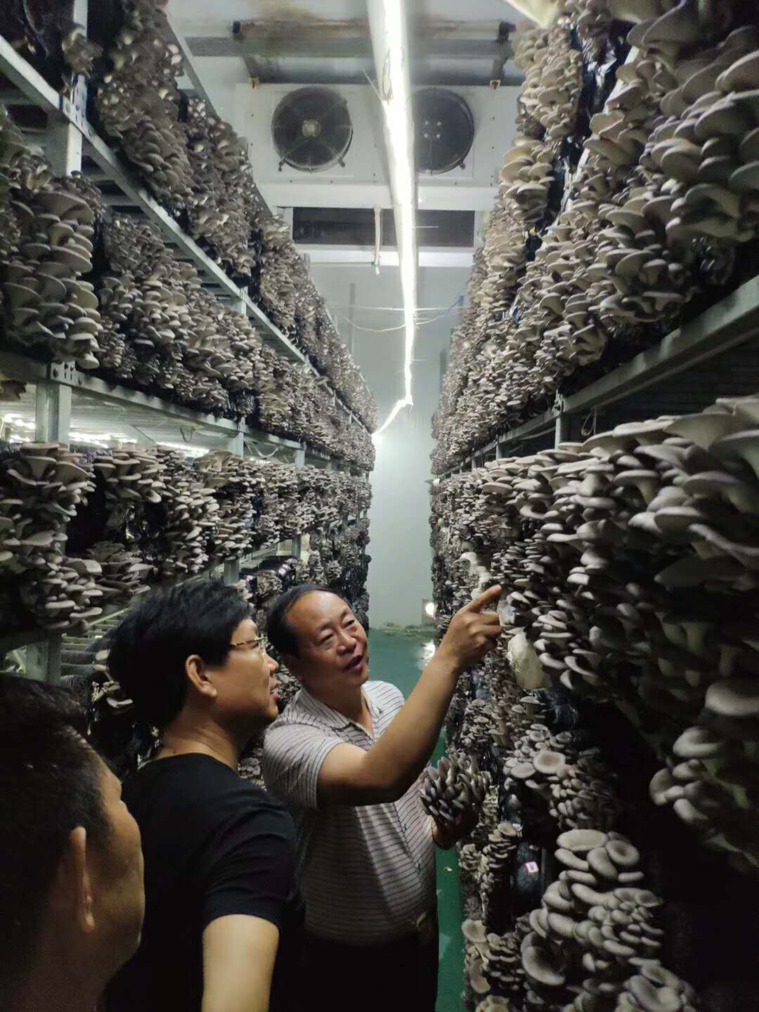 河南：许昌市旅游局局长陈志远一行深入世纪香生态园调研食用菌产业