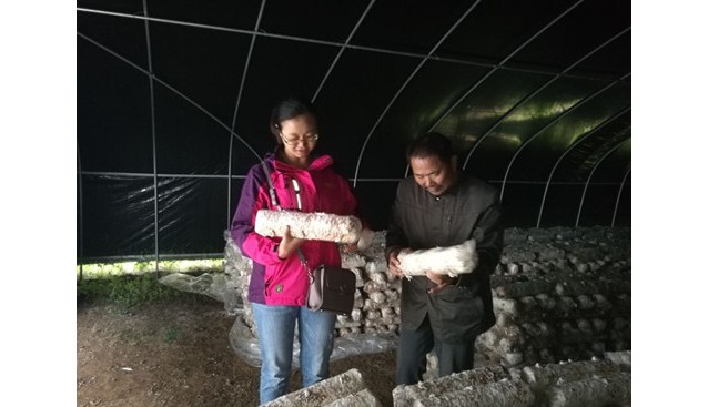 贵州省农科院品资所在赫章县开展食用菌种植等科技培训班