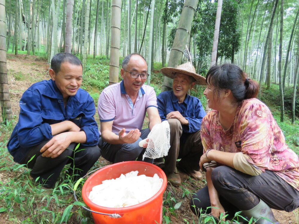 福建：南平市科技特派员举办竹荪生态栽培技术培训 喜迎农民丰收节