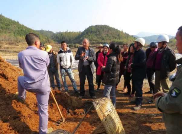 高允旺：半路出道“土專家”，竹蓀種植技術第一人
