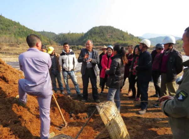 高允旺：半路出道“土专家”，竹荪种植技术第一人