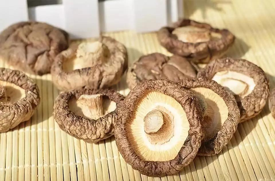 河南：西峽香菇借力“一帶一路”擴大對外貿易