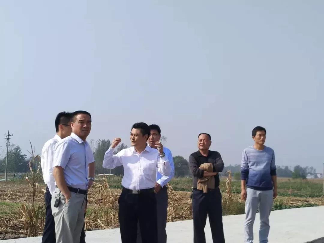 北京中盛永基孫建國一行赴臨泉縣參加食用菌項目建設評估和可行性研究座淡會