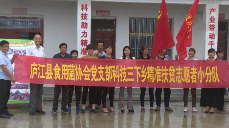 安徽:庐江县食用菌协会党支部举办八里扶贫产业园揭牌仪式
