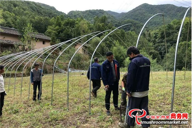 康县人口_康县茶马古道图片