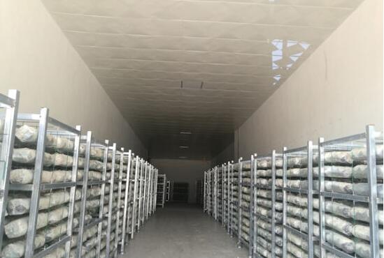 貴州:好菇糧投億元建黔東南州最大菌棒扶貧工廠