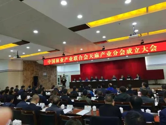 中國林業(yè)產(chǎn)業(yè)聯(lián)合會天麻產(chǎn)業(yè)分會在渝成立