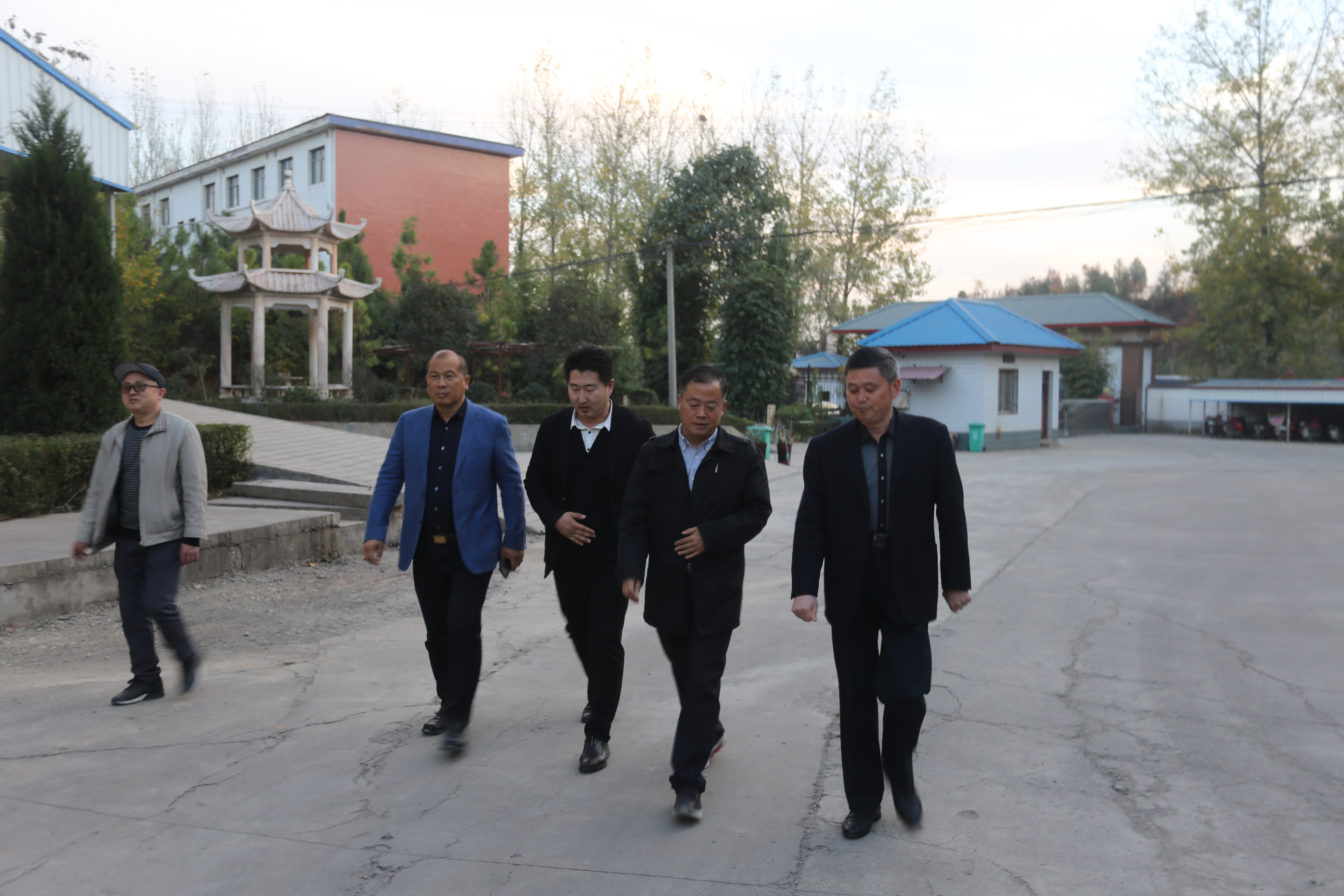 河南:水源地農業科技有限公司與裕國菇業展開食用菌產業合作洽談