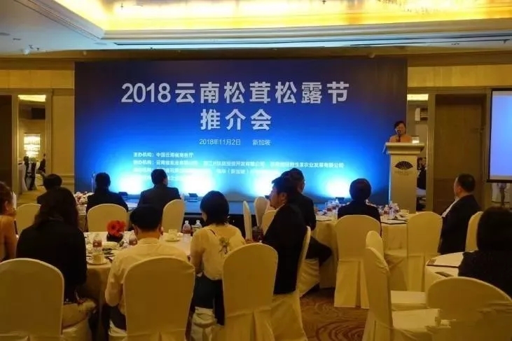 云南：野生菌飄香新加坡