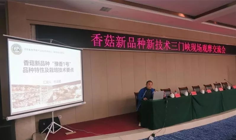 河南：“豫香1號”香菇新品種新技術現場觀摩與交流會召開