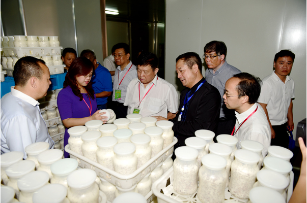 內蒙古：食用菌太空育種取得可喜成果