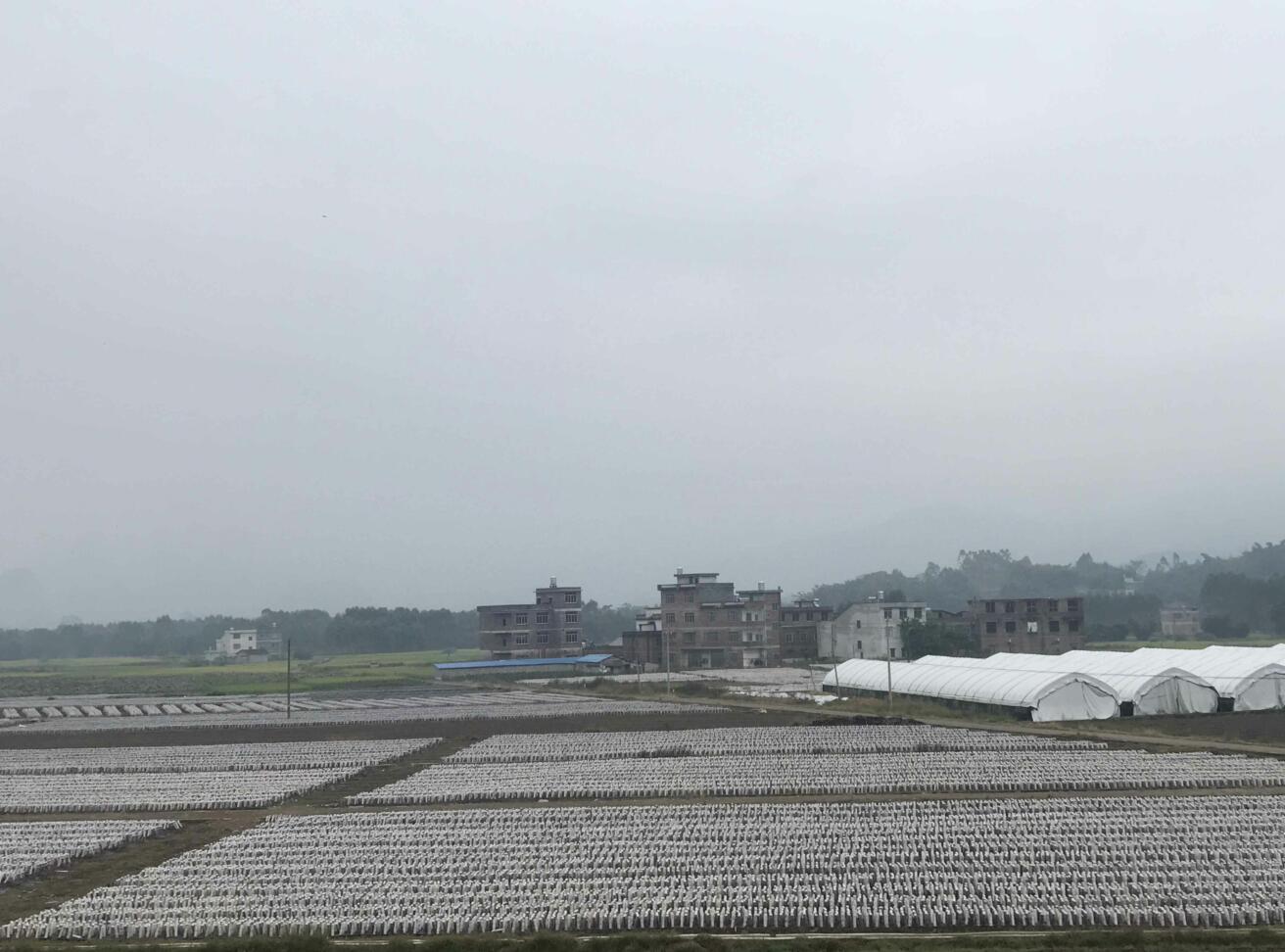 吉林：汪清縣穩步推進黑木耳產品質量監督檢驗中心建設