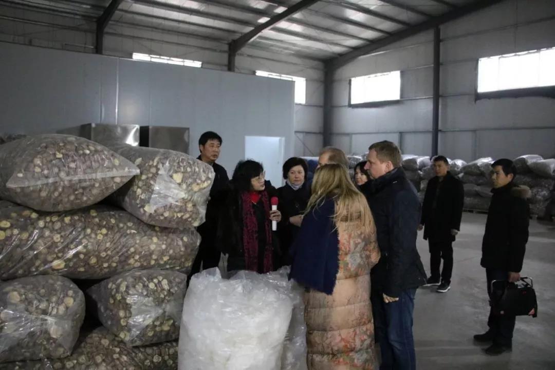 俄羅斯商貿(mào)考察團(tuán)一行蒞臨南陽百菌園參觀考察