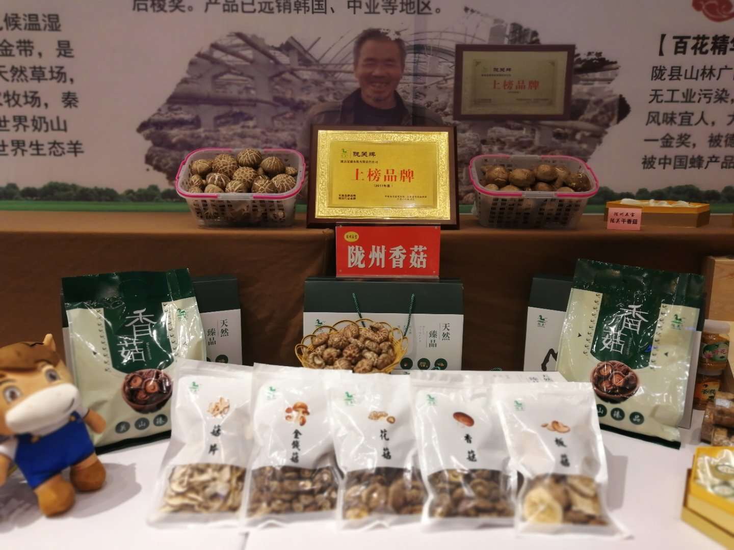 陜西：隴縣香菇得到縣委縣政府的全方位推薦