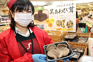 日本：和歌山縣所產(chǎn)黑鮑魚菇榮獲“優(yōu)質(zhì)品牌農(nóng)產(chǎn)品”稱號