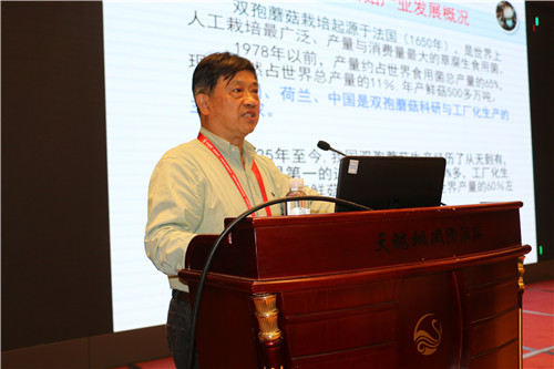 王泽生：中国双孢蘑菇品种改良与应用