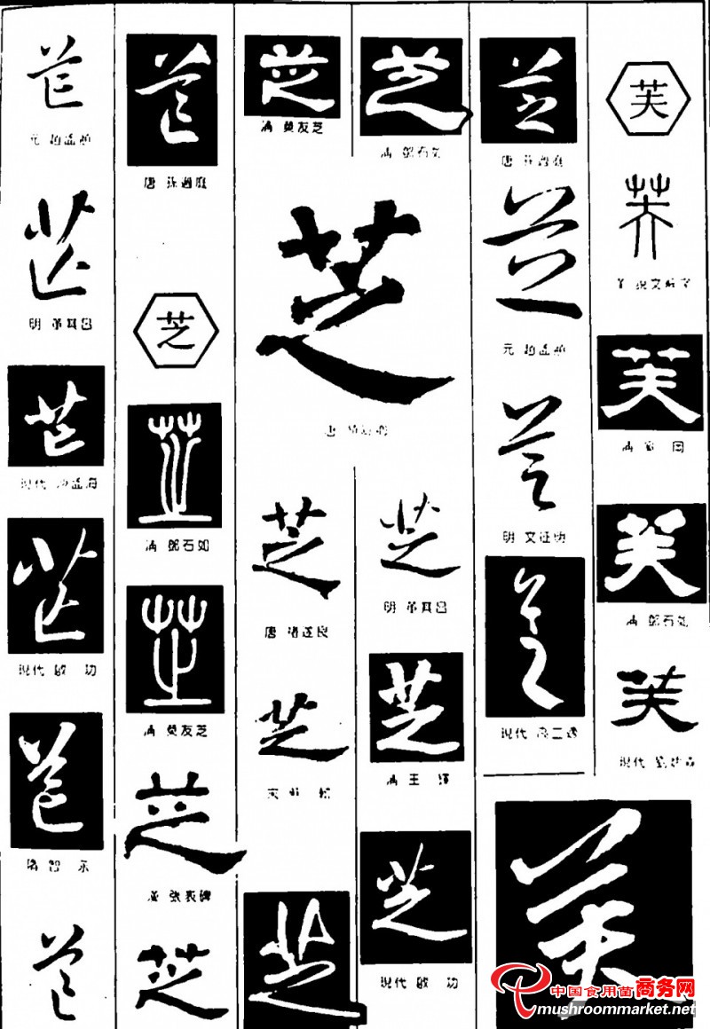 涨“芝”识： 灵芝的“芝”字是怎么来的？