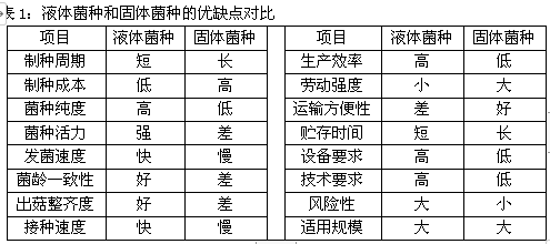 香菇液体菌种相较固体菌种的比较优势