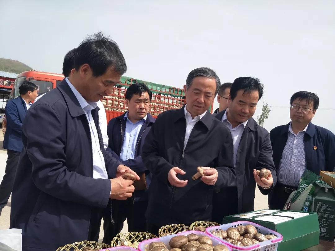 陜西：國(guó)務(wù)院扶貧辦副主任陳志剛到隴縣調(diào)研食用菌產(chǎn)業(yè)扶貧工作