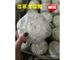 黑皮鸡枞菌包，好品质、高产量、大收获