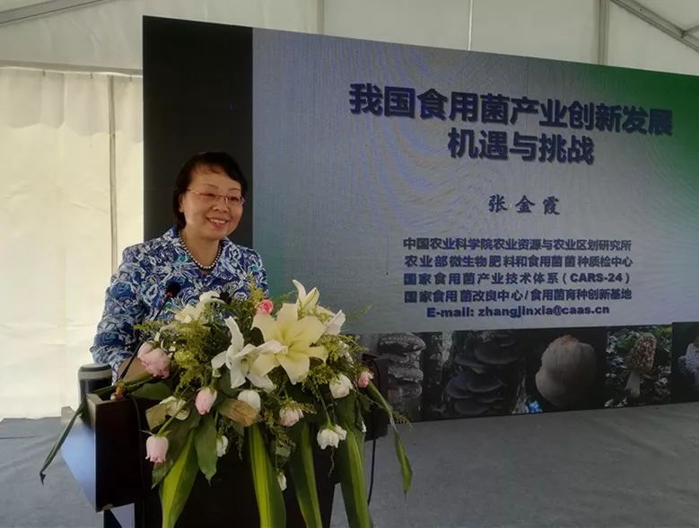 國家食用菌產業技術體系首席科學家張金霞：把科研論文寫在脫貧攻堅的大地上