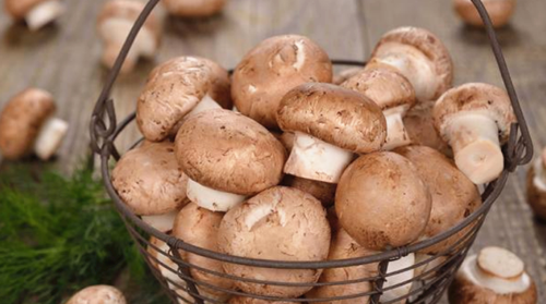 日本：食用菌菇可降低患前列腺癌的风险