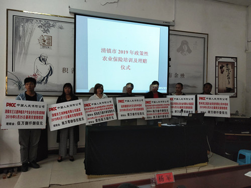 貴州：中國人民保險為受災菇農撐起“保護傘”
