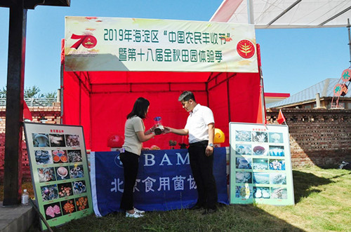 北京食用菌協會參加2019年海淀區“中國農民豐收節”