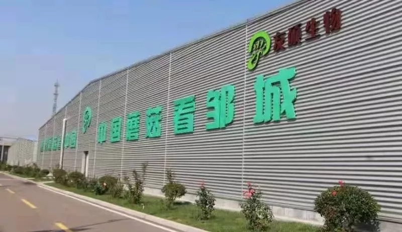 山東：鄒城探索食用菌產(chǎn)業(yè)由生產(chǎn)大鎮(zhèn)向品牌強(qiáng)鎮(zhèn)的轉(zhuǎn)變之路